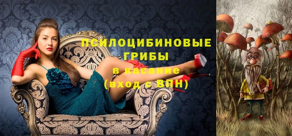 молекула духа Верхний Тагил