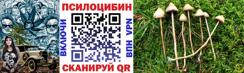 Купить закладки Пролетарск Галлюциногенные грибы MAGIC MUSHROOMS